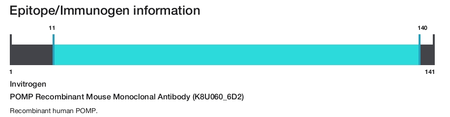 POMP Recombinant Mouse Monoclonal Antibody (K8U060_6D2)