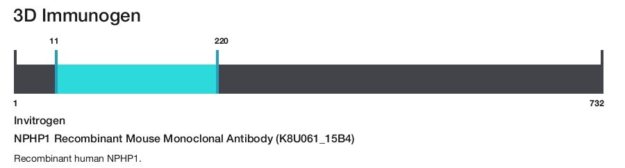 NPHP1 Recombinant Mouse Monoclonal Antibody (K8U061_15B4)