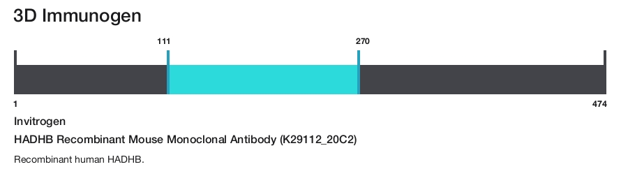 HADHB Recombinant Mouse Monoclonal Antibody (K29112_20C2)