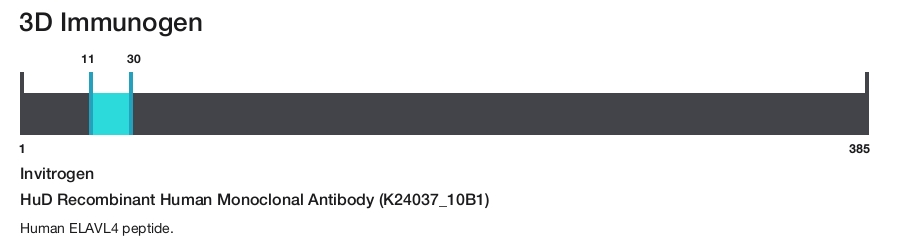 HuD Recombinant Human Monoclonal Antibody (K24037_10B1)
