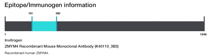 ZMYM4 Recombinant Mouse Monoclonal Antibody (K40110_3B3)