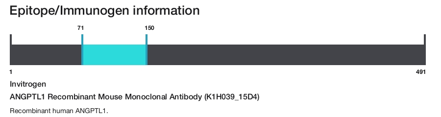 ANGPTL1 Recombinant Mouse Monoclonal Antibody (K1H039_15D4)