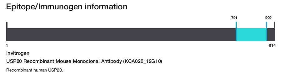 USP20 Recombinant Mouse Monoclonal Antibody (KCA020_12G10)