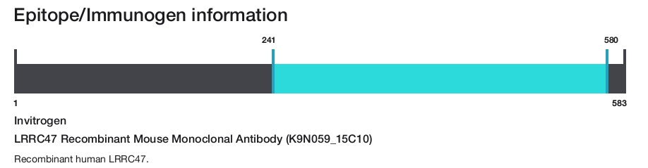 LRRC47 Recombinant Mouse Monoclonal Antibody (K9N059_15C10)
