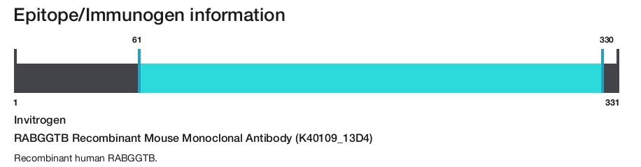 RABGGTB Recombinant Mouse Monoclonal Antibody (K40109_13D4)