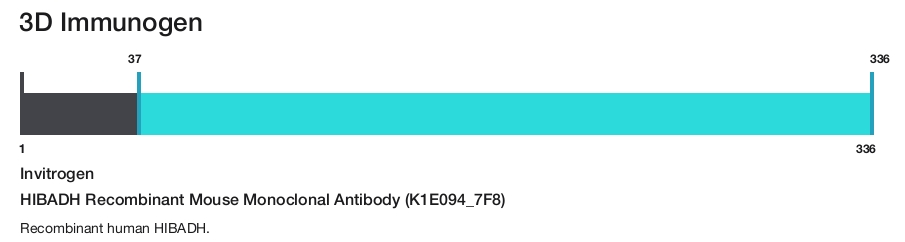 HIBADH Recombinant Mouse Monoclonal Antibody (K1E094_7F8)