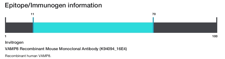 VAMP8 Recombinant Mouse Monoclonal Antibody (K94094_16E4)