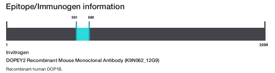 DOPEY2 Recombinant Mouse Monoclonal Antibody (K9N062_12G9)