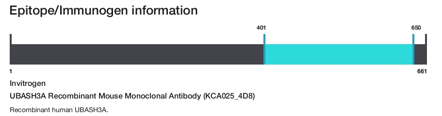UBASH3A Recombinant Mouse Monoclonal Antibody (KCA025_4D8)