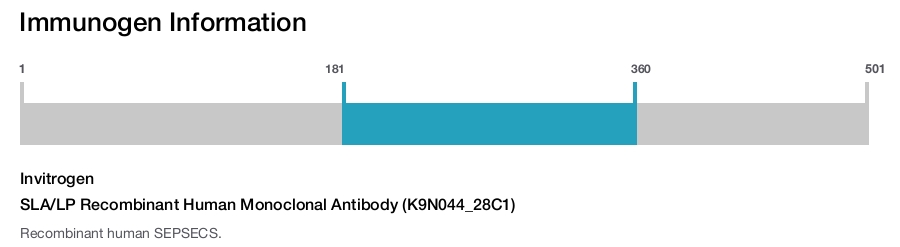 SLA/LP Recombinant Human Monoclonal Antibody (K9N044_28C1)