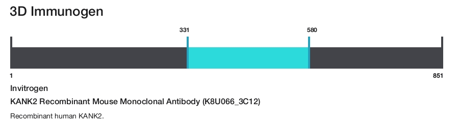 KANK2 Recombinant Mouse Monoclonal Antibody (K8U066_3C12)