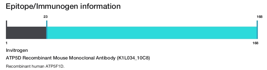 ATP5D Recombinant Mouse Monoclonal Antibody (K1L034_10C8)