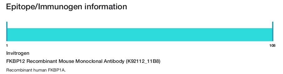 FKBP12 Recombinant Mouse Monoclonal Antibody (K92112_11B8)