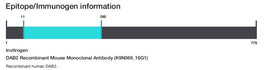 DAB2 Recombinant Mouse Monoclonal Antibody (K9N069_16G1)