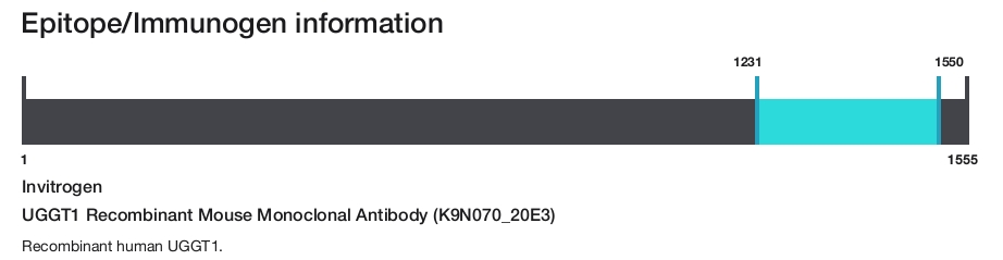 UGGT1 Recombinant Mouse Monoclonal Antibody (K9N070_20E3)