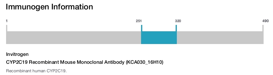 CYP2C19 Recombinant Mouse Monoclonal Antibody (KCA030_16H10)