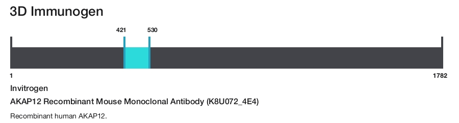 AKAP12 Recombinant Mouse Monoclonal Antibody (K8U072_4E4)