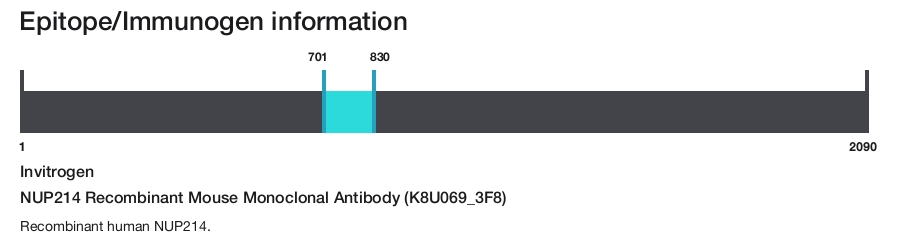 NUP214 Recombinant Mouse Monoclonal Antibody (K8U069_3F8)