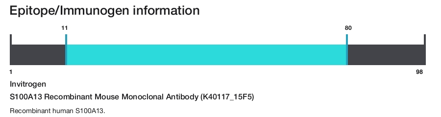 S100A13 Recombinant Mouse Monoclonal Antibody (K40117_15F5)