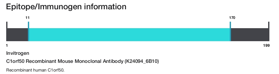C1orf50 Recombinant Mouse Monoclonal Antibody (K24094_6B10)