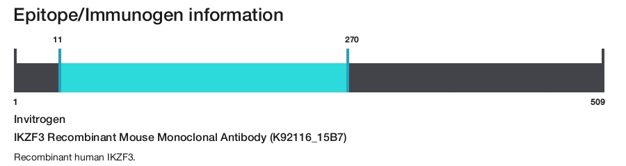 IKZF3 Recombinant Mouse Monoclonal Antibody (K92116_15B7)