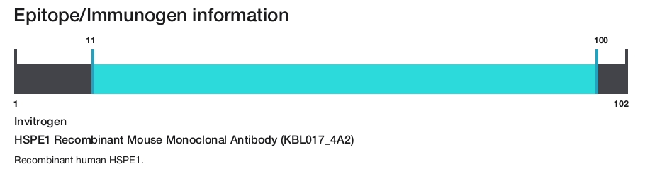 HSPE1 Recombinant Mouse Monoclonal Antibody (KBL017_4A2)