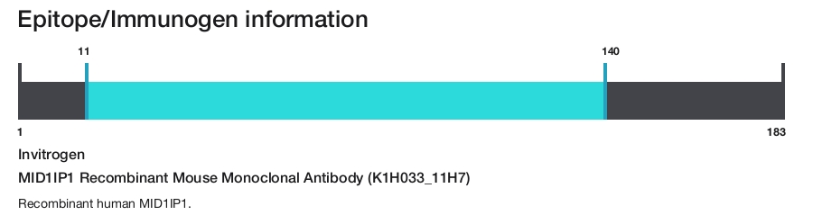 MID1IP1 Recombinant Mouse Monoclonal Antibody (K1H033_11H7)