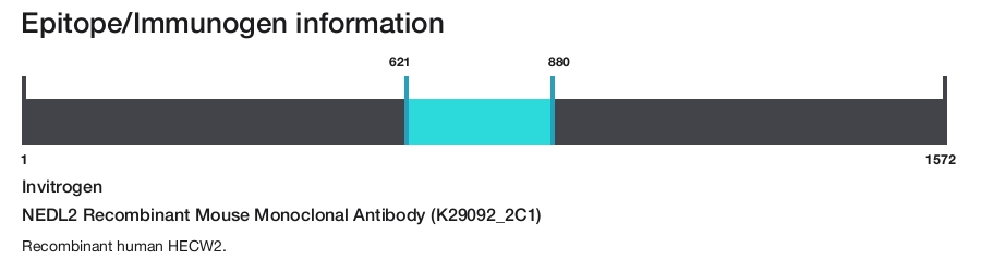 NEDL2 Recombinant Mouse Monoclonal Antibody (K29092_2C1)