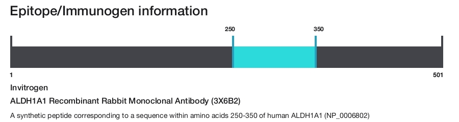 ALDH1A1 Recombinant Rabbit Monoclonal Antibody (3X6B2)