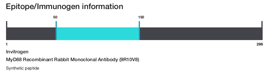 MyD88 Recombinant Rabbit Monoclonal Antibody (9R10V8)