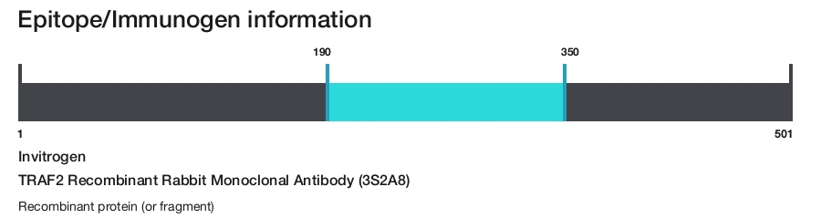 TRAF2 Recombinant Rabbit Monoclonal Antibody (3S2A8)