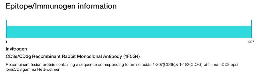 CD3e/CD3g Recombinant Rabbit Monoclonal Antibody (4F5G4)