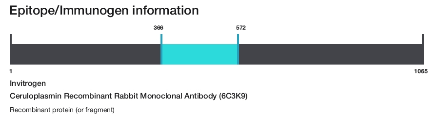 Ceruloplasmin Recombinant Rabbit Monoclonal Antibody (6C3K9)