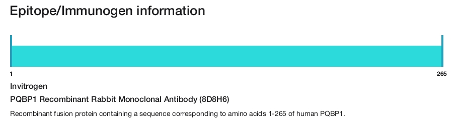 PQBP1 Recombinant Rabbit Monoclonal Antibody (8D8H6)