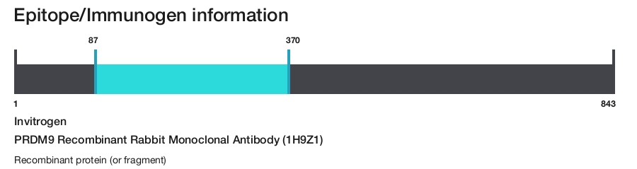 PRDM9 Recombinant Rabbit Monoclonal Antibody (1H9Z1)