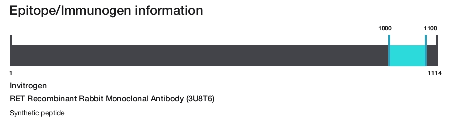 RET Recombinant Rabbit Monoclonal Antibody (3U8T6)