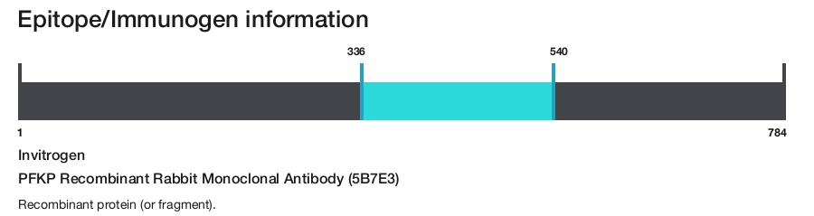 PFKP Recombinant Rabbit Monoclonal Antibody (5B7E3)