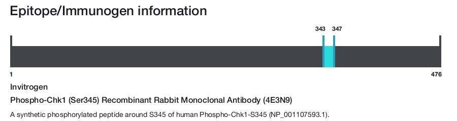 Phospho-Chk1 (Ser345) Recombinant Rabbit Monoclonal Antibody (4E3N9)