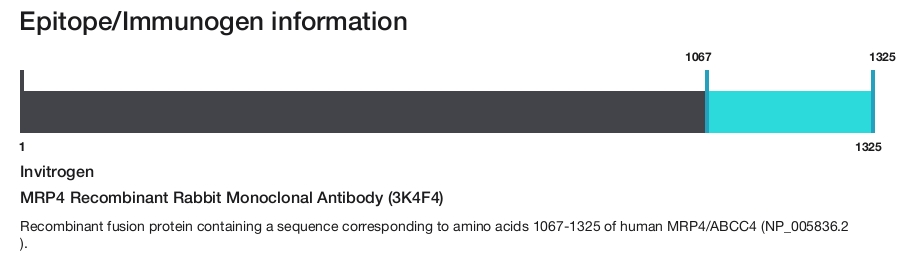 MRP4 Recombinant Rabbit Monoclonal Antibody (3K4F4)
