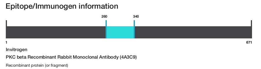 PKC beta Recombinant Rabbit Monoclonal Antibody (4A3C9)