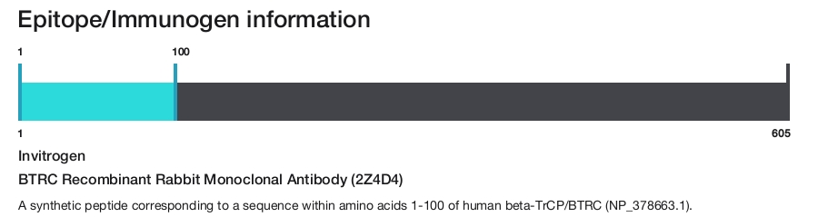 BTRC Recombinant Rabbit Monoclonal Antibody (2Z4D4)