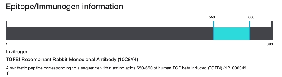TGFBI Recombinant Rabbit Monoclonal Antibody (10C8Y4)