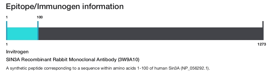 SIN3A Recombinant Rabbit Monoclonal Antibody (3W9A10)