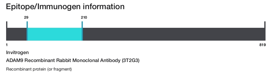 ADAM9 Recombinant Rabbit Monoclonal Antibody (3T2G3)