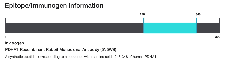 PDHA1 Recombinant Rabbit Monoclonal Antibody (5N5W8)