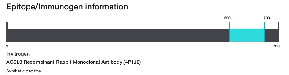 ACSL3 Recombinant Rabbit Monoclonal Antibody (4P1J2)