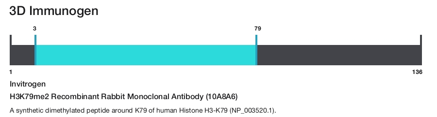 H3K79me2 Recombinant Rabbit Monoclonal Antibody (10A8A6)