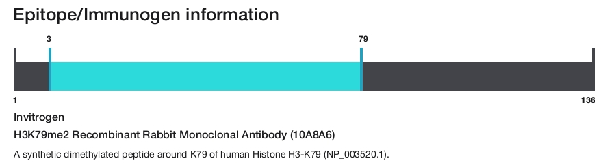 H3K79me2 Recombinant Rabbit Monoclonal Antibody (10A8A6)