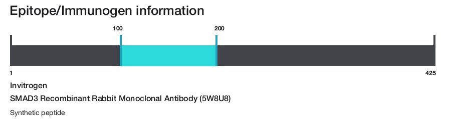 SMAD3 Recombinant Rabbit Monoclonal Antibody (5W8U8)