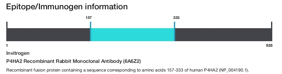 P4HA2 Recombinant Rabbit Monoclonal Antibody (6A6Z2)